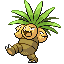 Exeggutor (2005.VII.25-2005.VIII.1)