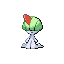 Ralts (2006.X.9-2006.X.23)