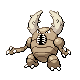 Pinsir (2007.I.22-2007.II.5)