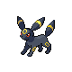 Umbreon (2007.X.29-2007.XI.12)