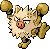 Primeape (2005.II.28-2005.III.7)